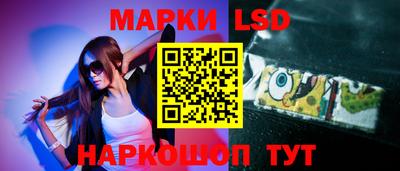 mdpv Новодвинск