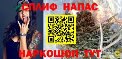 мяу мяу мука Нальчик