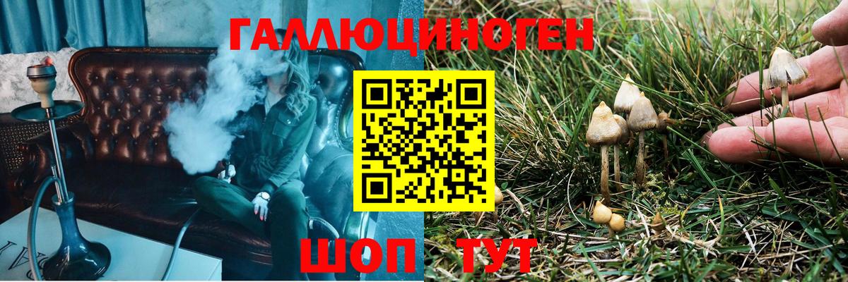 Псилоцибиновые грибы Psilocybine cubensis  Галлюциногенные грибы мицелий  Вход с VPN  Сланцы 